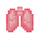 Lungs